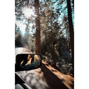 Meet your Posher, Ariana